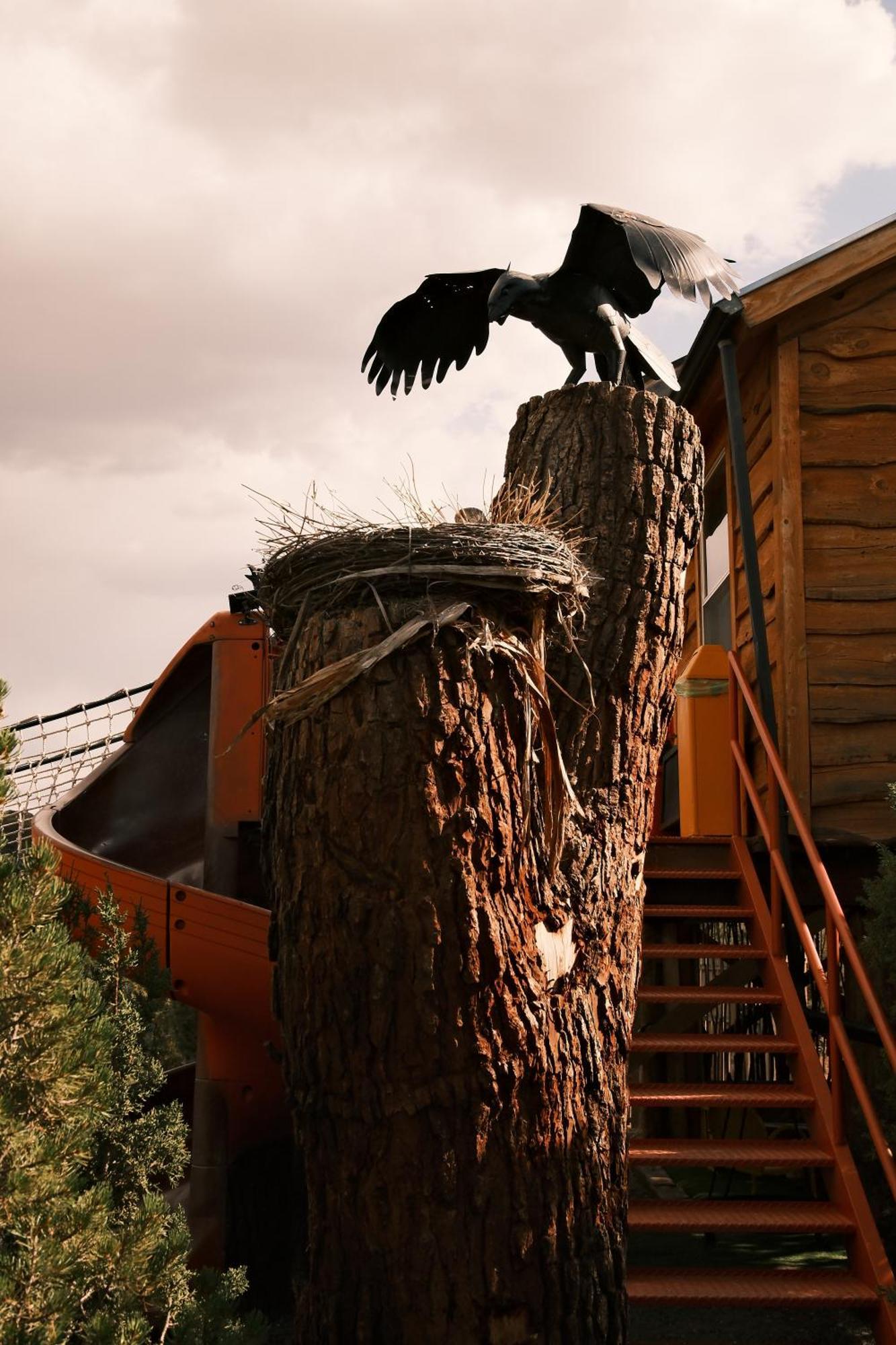 Crows Nest Treehouse At El Mstico Ranch Villa Nogal Exteriör bild