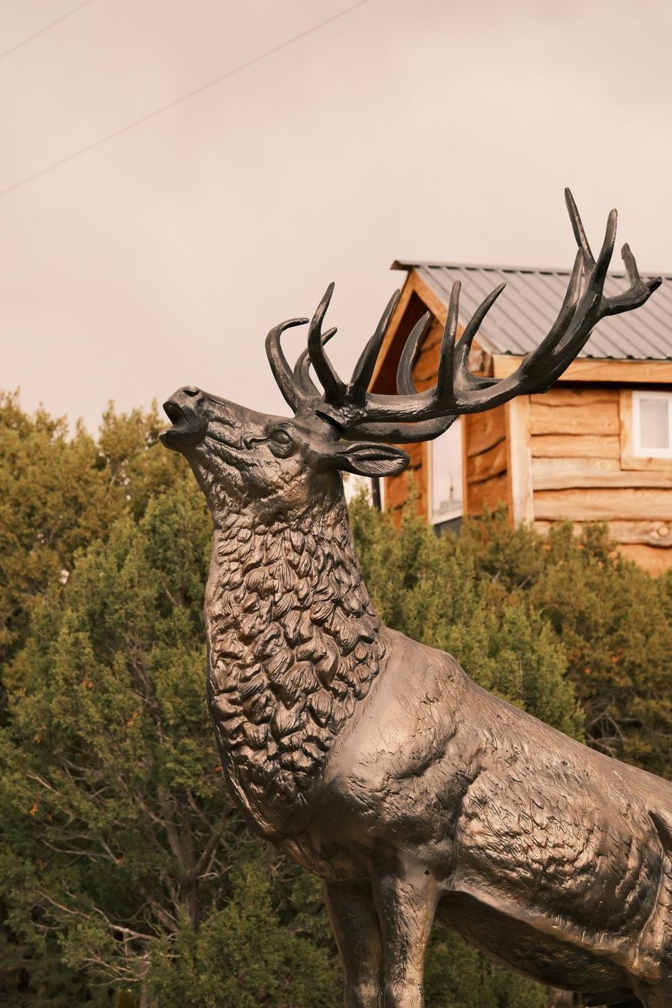 Crows Nest Treehouse At El Mstico Ranch Villa Nogal Exteriör bild